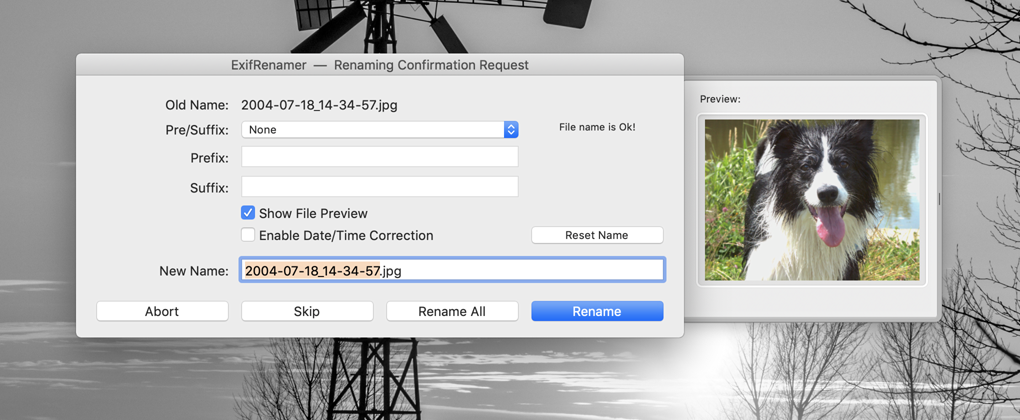 exifrenamer windows