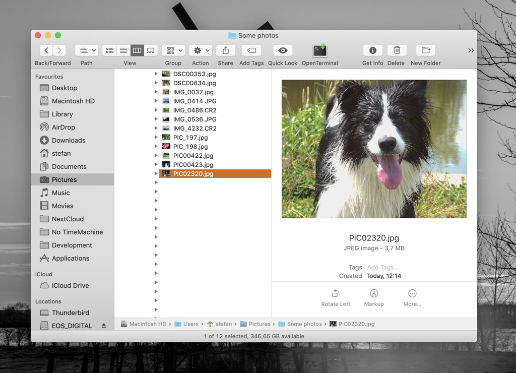 Finder Screenshot Before Renaming